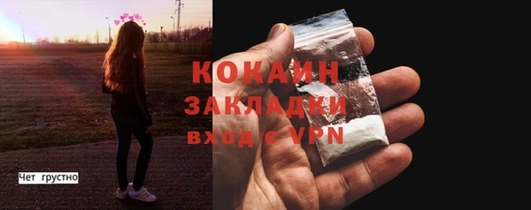 гидра Саяногорск