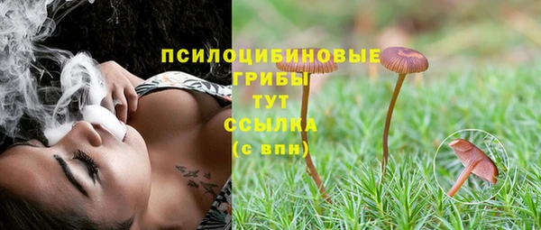 прущая мука Сатка