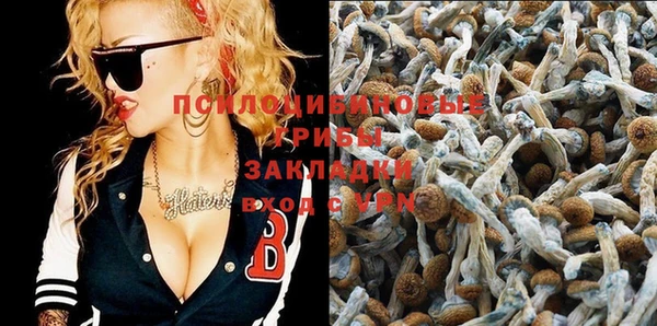прущие крисы Абинск