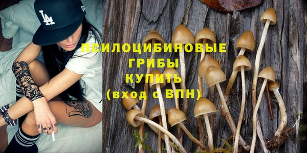 хмурый Сафоново