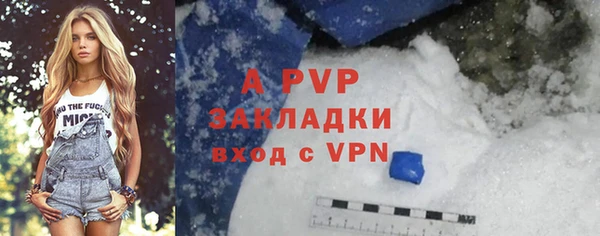 гидра Саяногорск