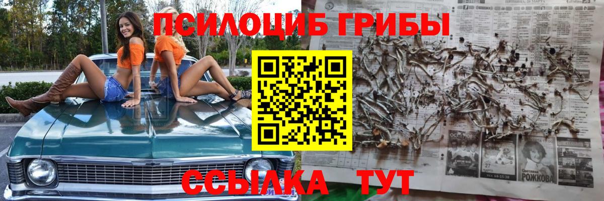 Лосино-Петровский  Галлюциногенные грибы Psilocybe  Вход с VPN 